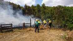 Un incendio en Arens de Lledó afecta a unas 6,5 hectáreas de pinar