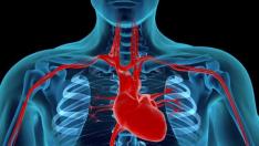 Una insuficiencia cardiaca se puede diagnosticar ya sin necesidad de ir al cardiólogo