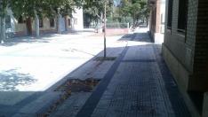 La falta de árboles es una de las cuestiones que demandan los vecinos de La Jota
