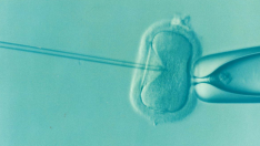 La vitrificación de óvulos es una técnica de reproducción asistida que permite la congelación del material reproductivo.