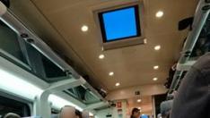 Varios viajeros han tenido que ir de pie por una avería en el tren.