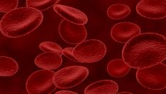 La hemofilia se caracteriza por un defecto de la coagulación de la sangre