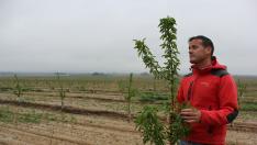 El gerente de la finca, Hugo Oliván, observando la evolución de los almendros plantados en el monte de Frula (Huesca).