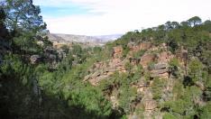 Los cicloturistas visitarán los pinares de rodeno de Albarracín.