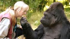 Koko junto a su profesora, la psicóloga para animales Penny Patterson