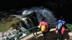 Las cascadas nos harán disfrutar durante toda la excursión al nacimiento del río Arazas.
