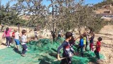 Niños de Primaria del Matarraña se introducen en el cultivo del almendro