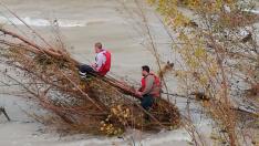 Dos campistas esperan a ser rescatados colgados de un árbol sobre el río Bergantes, en Aguaviva.