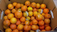 Mandarinas recibidas este martes en un comedor escolar de Zaragoza gestionado por Eurocatering.