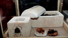 Egipto anuncia descubrimiento de decenas de momias de animales y estatuas