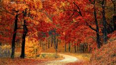 El otoño, la estación de los recuerdos, momentos únicos que puedes disfrutar con la portada de tu vida.