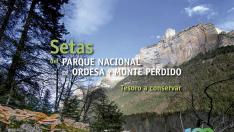 Portada del libro 'Setas del Parque Nacional de Ordesa y Monte Perdido. Tesoro a conservar', de Francisco Serrano.