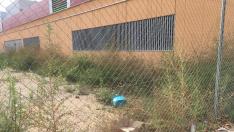 Entorno del colegio de Rosales del Canal