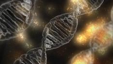 El perfil genético puede usarse para ayudar a diagnosticar una enfermedad, o saber cómo evoluciona o responde al tratamiento con medicamentos.