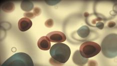 La ciencia busca la manera de prevenir enfermedades como la leucemia infantil.