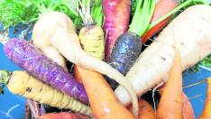 La zanahoria es un alimento con un alto grado nutricional gracias a su contenido en vitaminas y minerales.