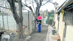 La saturación de la perrera hace que los parques de recreo (izquierda), sin techo y muy precarios, se usen como alojamientos fijos