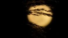 Impresionantes imágenes de la superluna de nieve