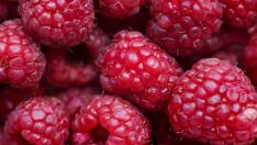Las frambuesas pueden ayudar con el control de la glucosa
