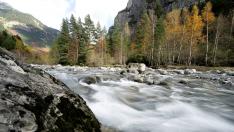 El valle de Bujaruelo es la cuna del Ara, el último río salvaje del Pirineo aragonés.