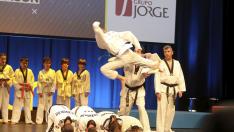 Exhibición de taekwondo en la Gala del Deporte Aragonés del año pasado.