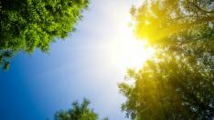 Sol
