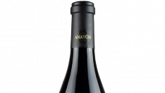anayon-parcela-81