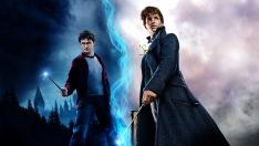 potter1