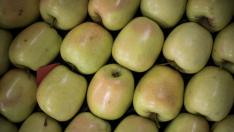 Las extraordinarias propiedades del agua en su balneario cambian la tradicional acepción de este verbo; en el otro extremo de la localidad, Frutas Erruz produce peras y manzanas de lujo.