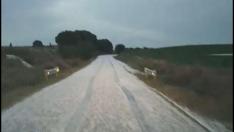 Granizo en Senés de Alcubierre