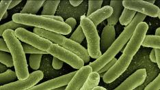 Investigadores españoles diseñan antibióticos que atacan solo las bacterias 'malas' y evitan resistencias.