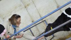 Lourdes Guillén da de comer a un ternero en una granja de Vencillón.