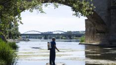 Trabajos para la prevención de la mosca negra en el Ebro, a su paso por Zaragoza