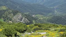 Foto Turismo Hoya de Huesca