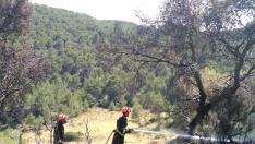 Un incendio calcina casi una hectárea de bosque en el monte de Fraga.