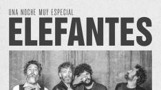 Cartel concierto Elefantes