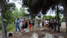 Un grupo de visitantes escucha las explicaciones del guía en el yacimiento de los túmulos de Cretas.