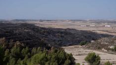 Superficie afectada por el incendio declarado el pasado martes entre Leciñena y Perdiguera.