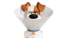 Cartel de Mascotas 2, Max
