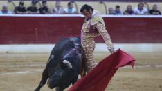 toros