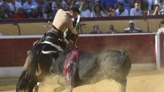 toros