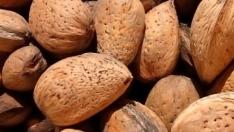 Turrones y frutos secos en Beceite, La Portellada, Ráfales, Valdeltormo, Valderrobres y Valjunquera.