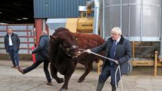El primer ministro británico, Boris Johnson, de visita en una granja