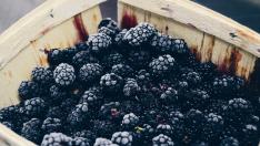 MORAS