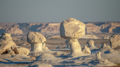 DESIERTO BLANCO