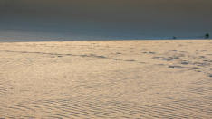 FUERTEVENTURA