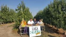 Los responsables de UAGA explica a pie de campo el calendario de movilizaciones en defensa del sector frutícola.