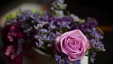 Rosa