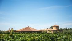 Bodegas Rhey, para disfrutar de una boda entre viñedos.