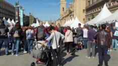 XII Feria CJZ: ¿Qué mueve a los jóvenes del siglo XXI?